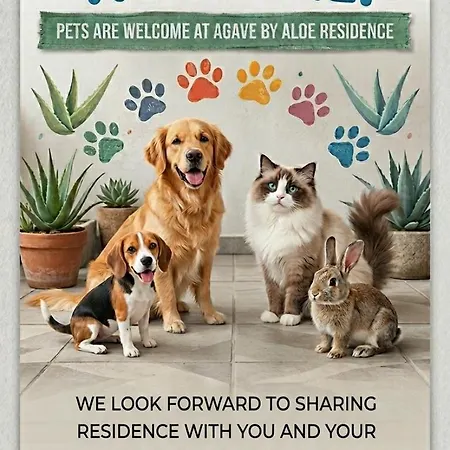 Agave By Aloe